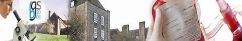 BGS 2008
